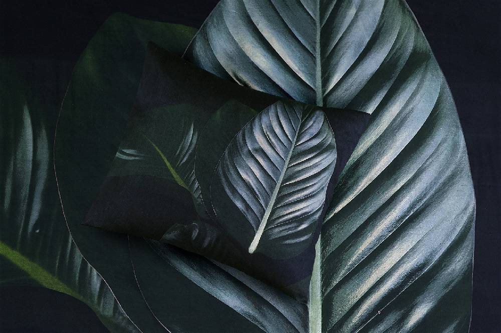 Kayoom Bettwäsche Tropical 125-DE Kostenlose Rückgabe