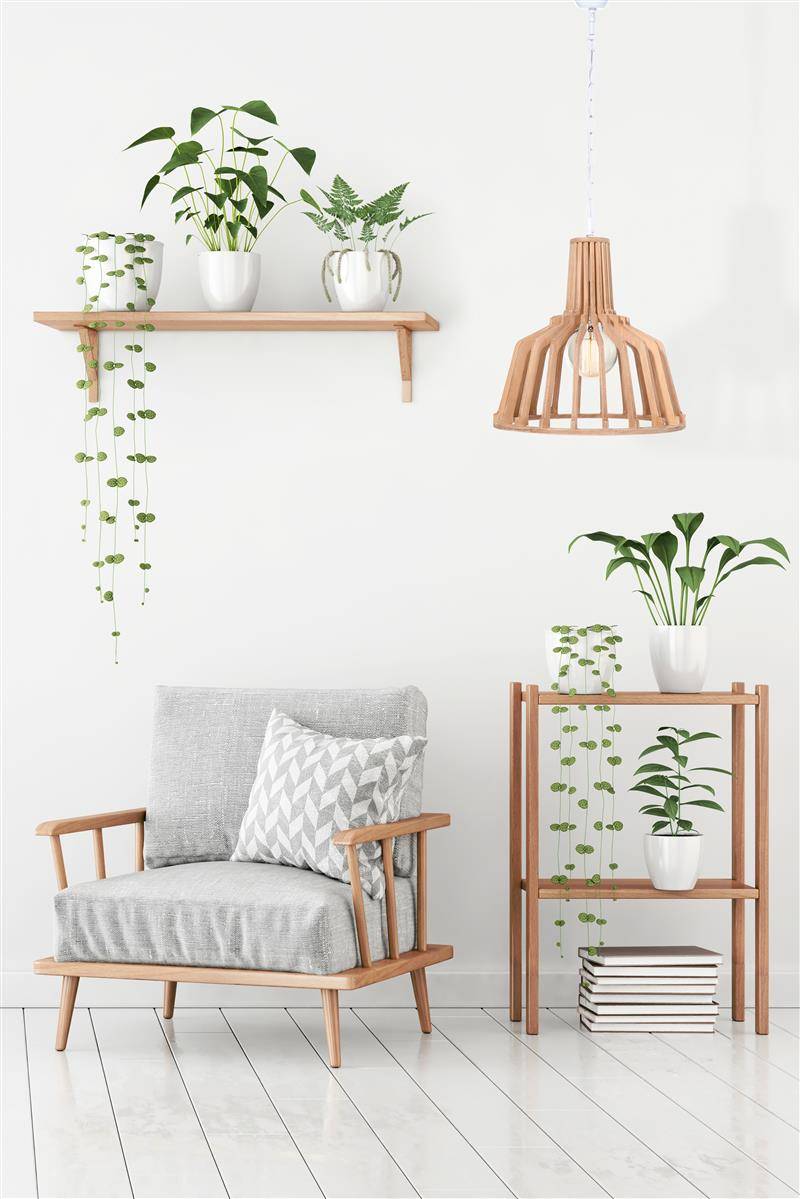 Kayoom Hängelampe Lucerna 280 Natur Neueste Stile