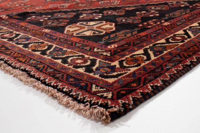 Nain Trading Shiraz 322 x 236 Black Friday Preise