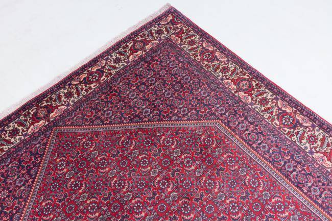 Nain Trading Bidjar 301 x 201 Black Friday Preise