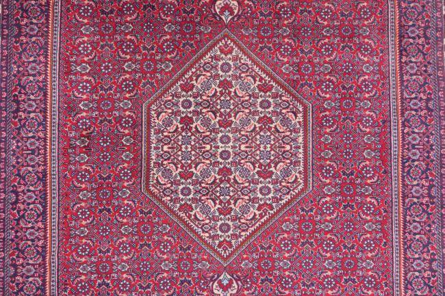 Nain Trading Bidjar 301 x 201 Black Friday Preise