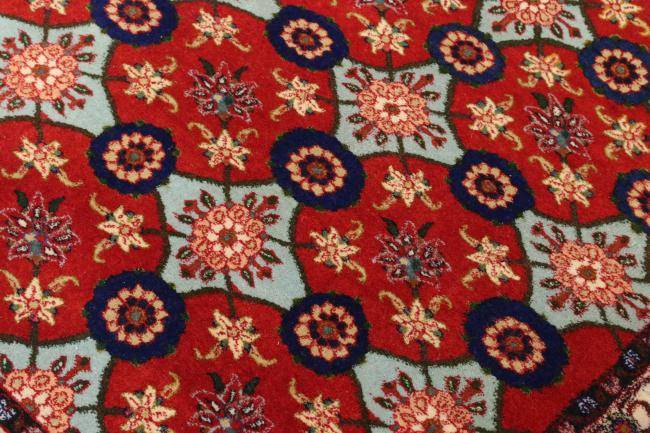 Nain Trading Waramin 147 x 113 Cyber Monday