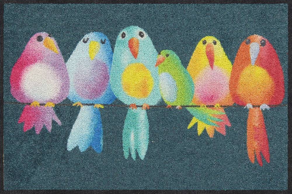 Salonloewe Rainbow Birds Fußmatte