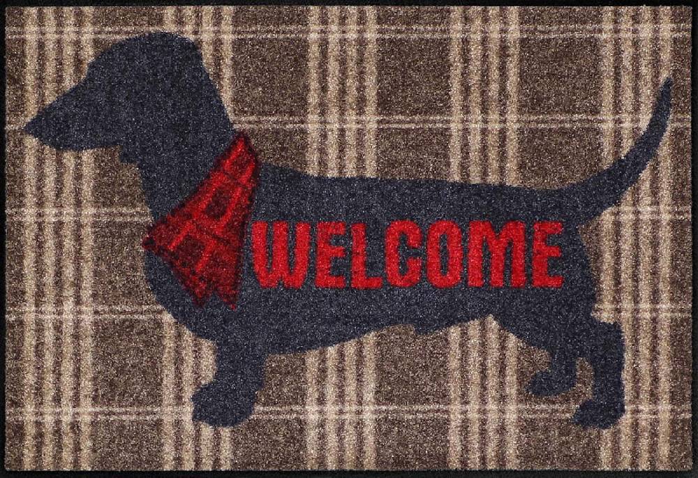 Salonloewe Welcome Dog Fußmatte