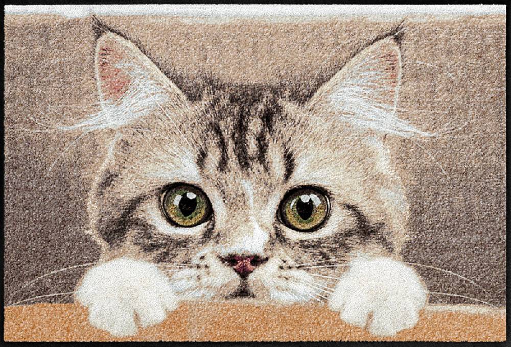 Salonloewe Nosy Cat Fußmatte