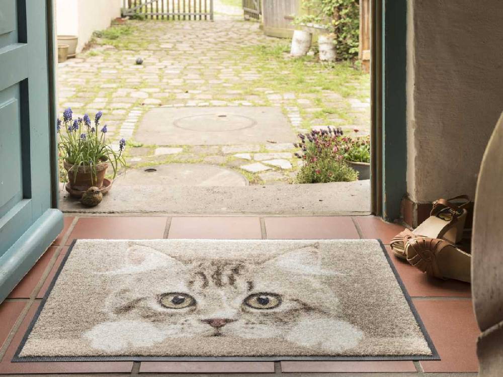 Salonloewe Nosy Cat Fußmatte Neuheiten
