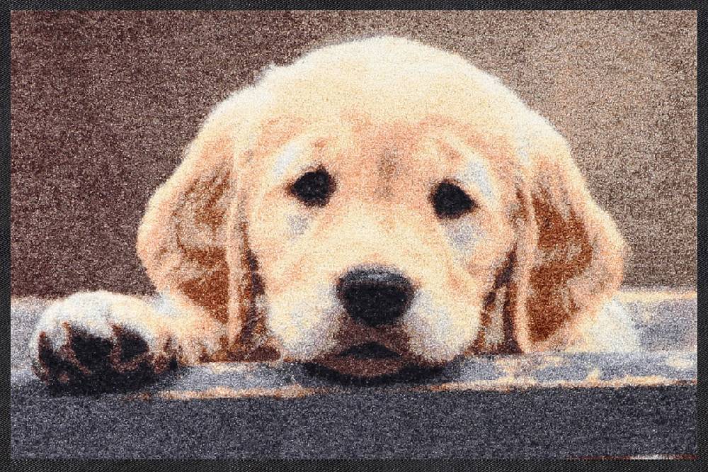 Salonloewe Nosy Dog Fußmatte