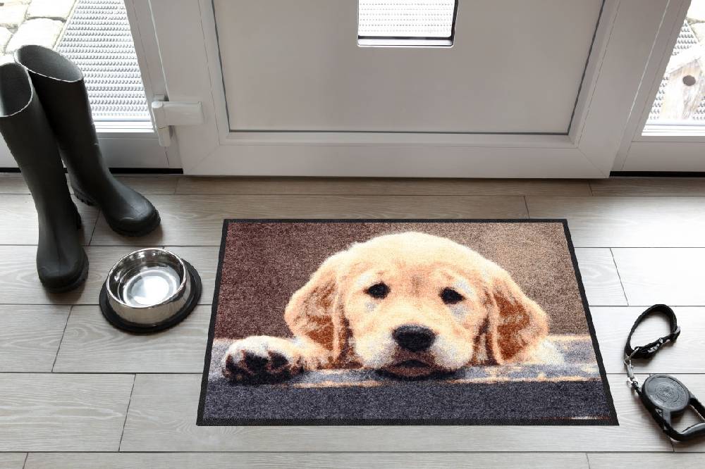 Salonloewe Nosy Dog Fußmatte Bestseller
