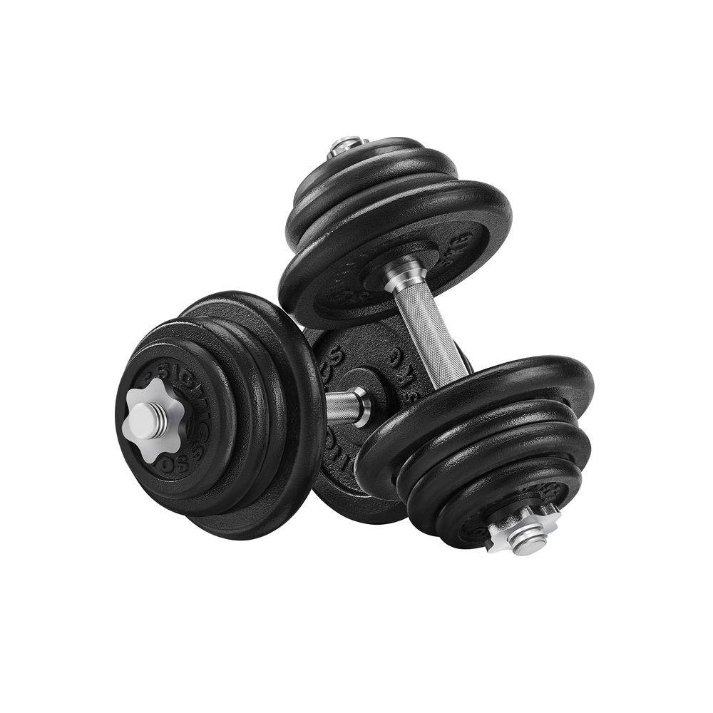 Songmics SONGMICS Hanteln aus Gusseisen 50 kg