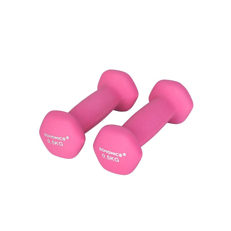 Songmics SONGMICS Kurzhanteln 2 x 0,5 kg Kostenloser Versand