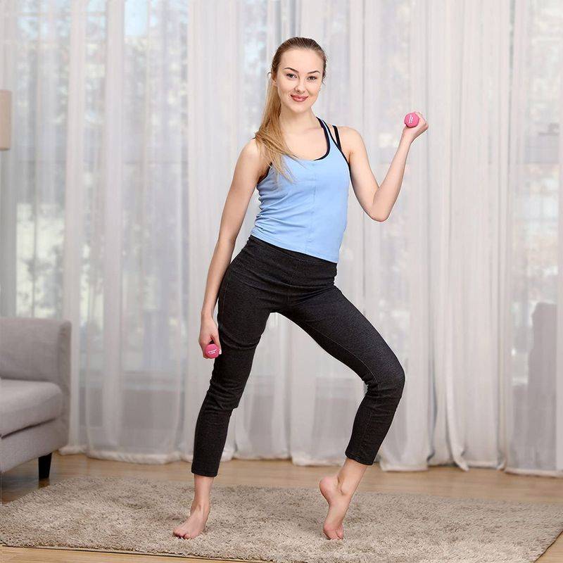 Songmics SONGMICS Kurzhanteln 2 x 0,5 kg Kostenloser Versand