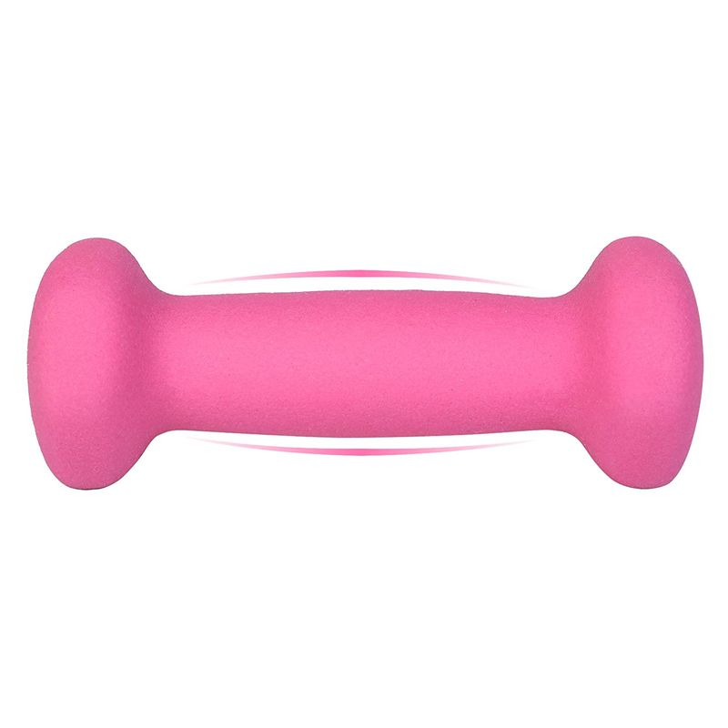 Songmics SONGMICS Kurzhanteln 2 x 0,5 kg Kostenloser Versand