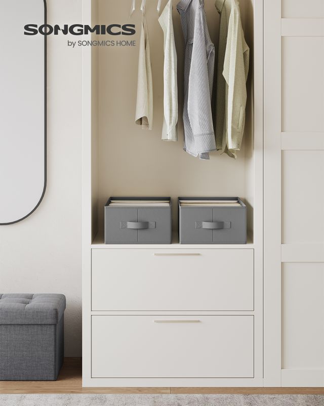 Songmics SONGMICS Kleiderschrank-Organizer faltbar für Hosen Zeitbegrenzte Promotion