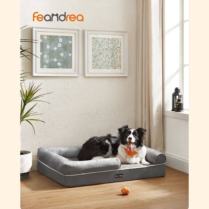 Songmics Feandrea Orthopädisches Hundebett Begrenzt auf 3 Tage