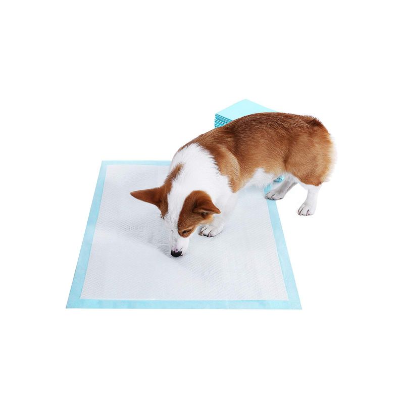 Songmics Feandrea Welpen-Hygienepads 60 x 60 cm 100 Stk Blitzverkäufe
