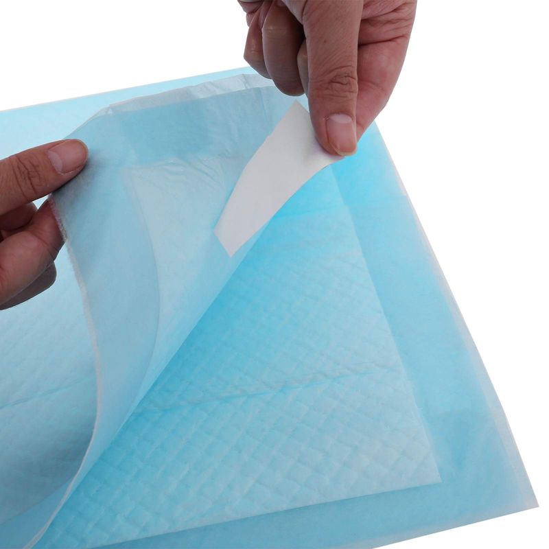 Songmics Feandrea Welpen-Hygienepads 60 x 90 cm 100 Stk Kostenloser Versand