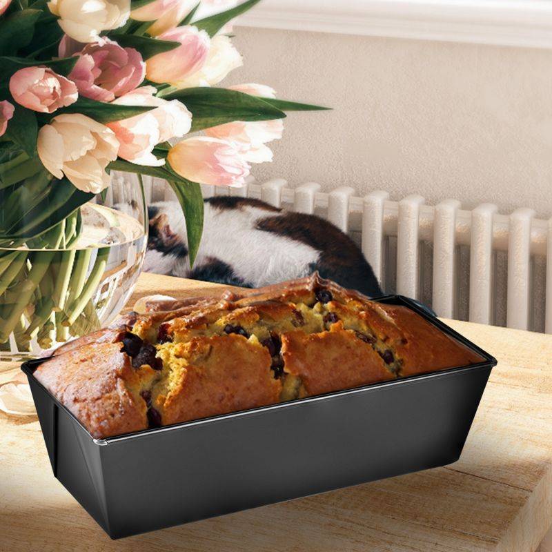 Stoneline Kastenform 25x11 cm Bis zu 50% Rabatt